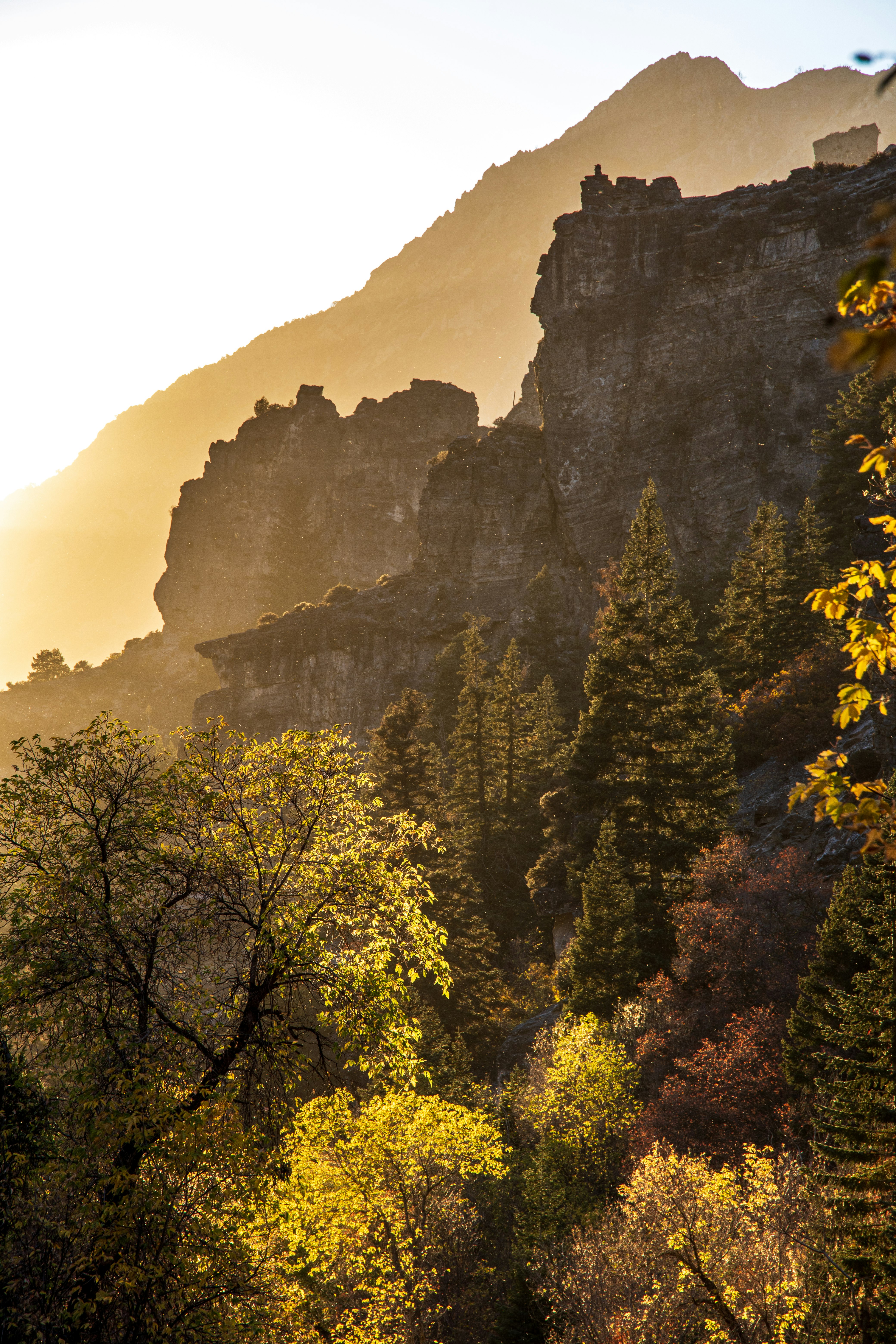 green trees near brown mountain during daytime